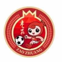 菏泽市灵感足球俱乐部